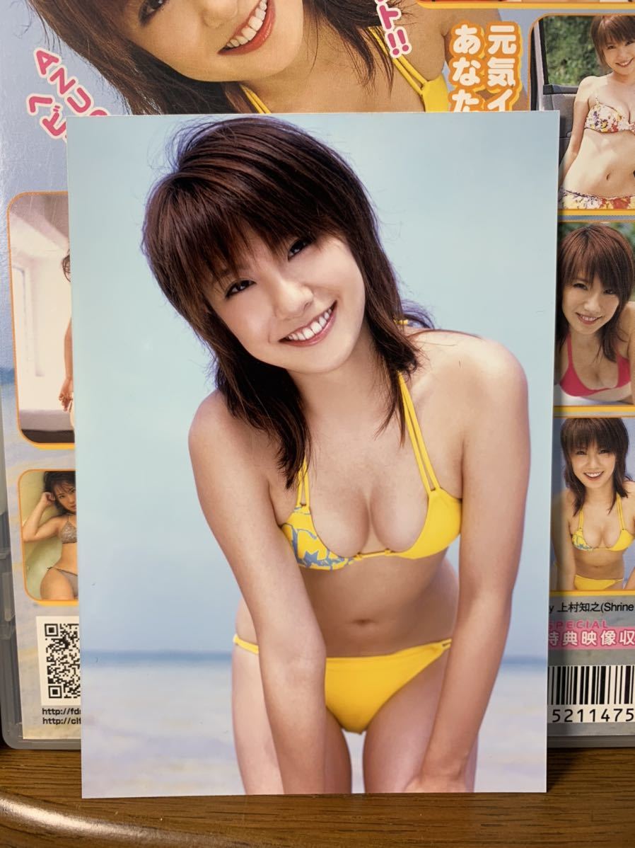 山本梓　直筆サインカード　30枚限定 山本梓 : 直筆サイン入り あずの値段と価格推移は？｜83件の売買データ