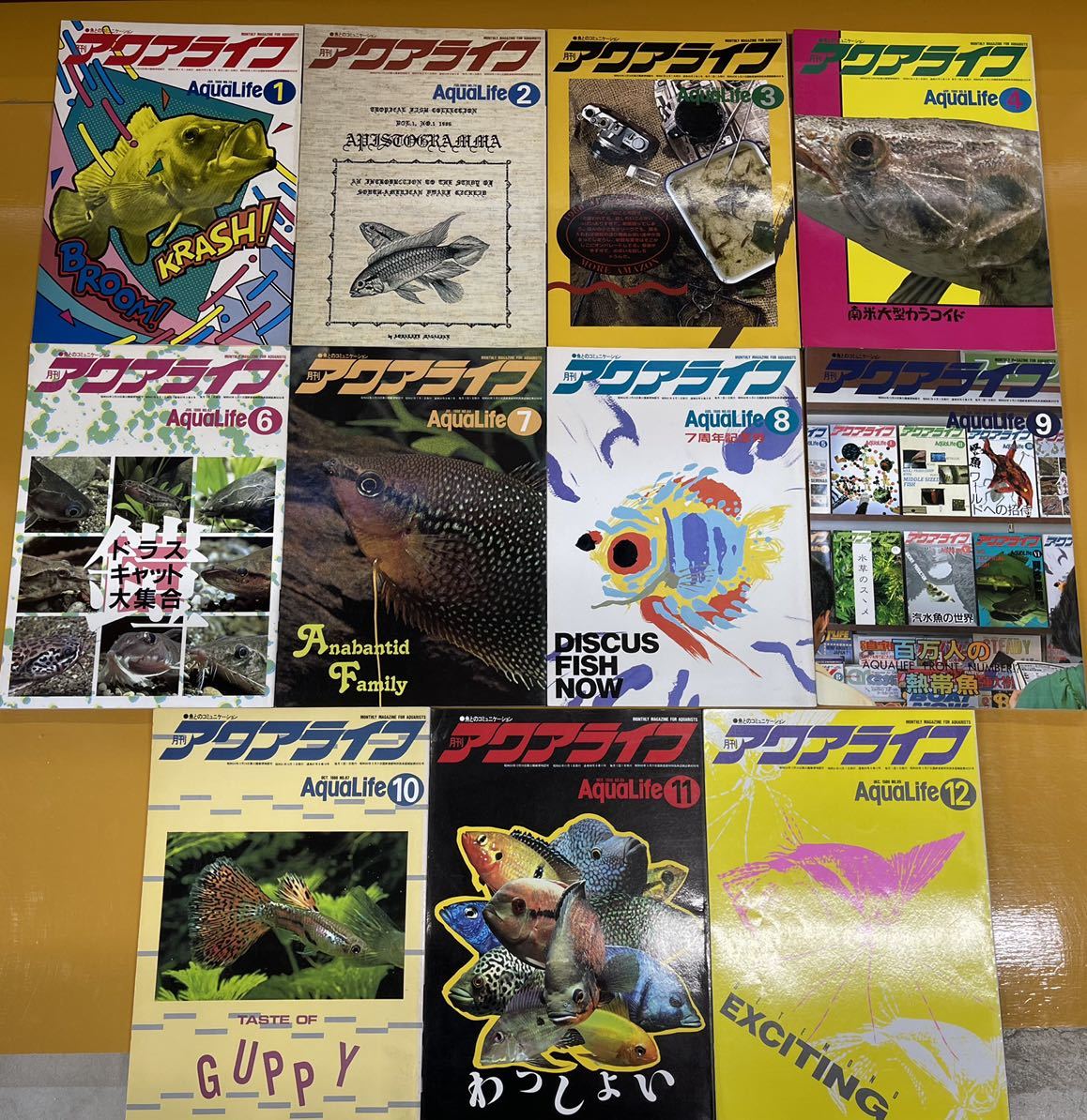 アクアライフ 1986年1月号～4月号 6月号～12月号