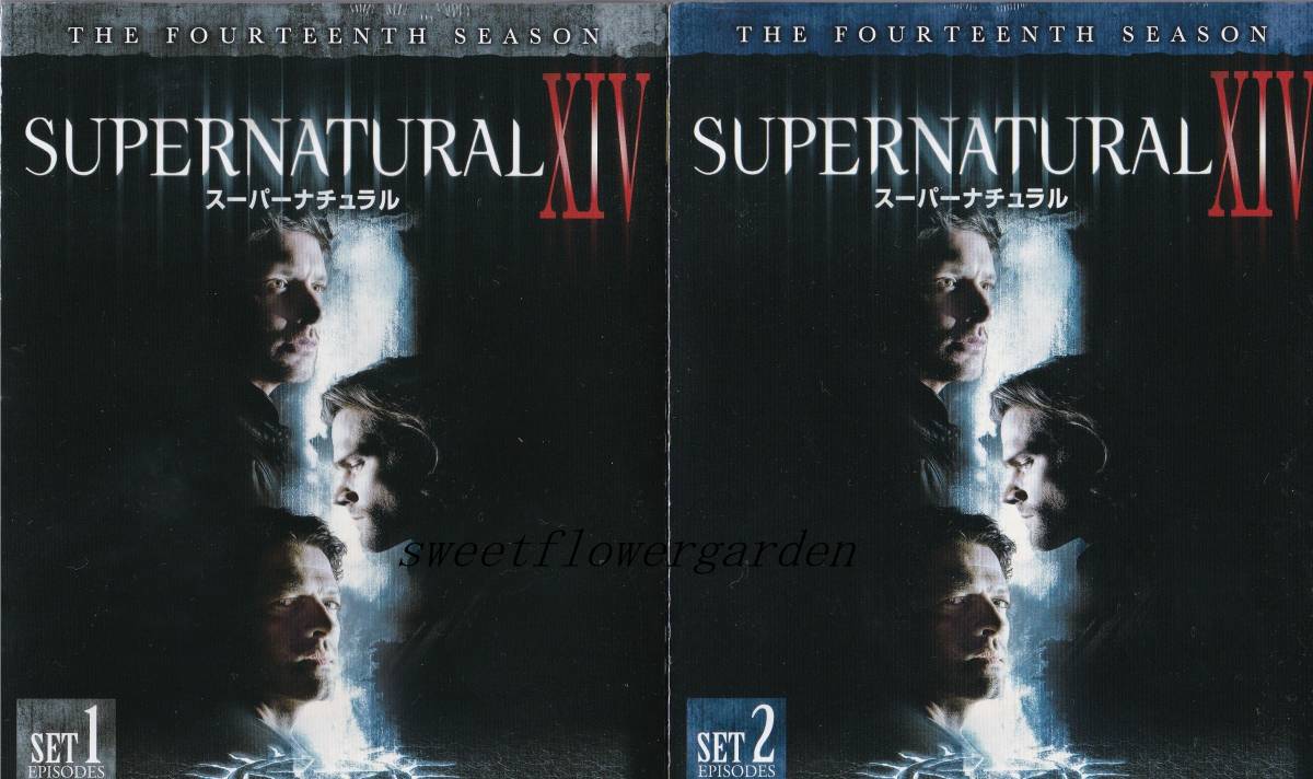SUPERNATURAL14／吹替 海外・アジアドラマの動画配信はTELASA(テラサ
