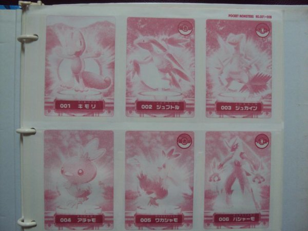 売切・カードダス ポケモンずかんカード コンプリートファイル
