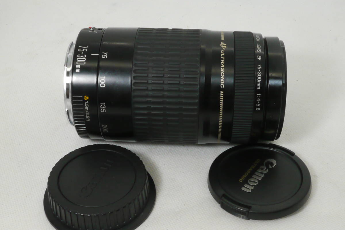  キャノン CANON USM EF 75-300mm F4-5.6(キヤノン)｜売買されたオークション情報、yahooの商品情報をアーカイブ公開 - オークファン キヤノン