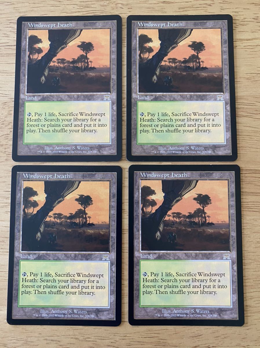 MTG まとめ売り吹きさらしの荒野 溢れかえる岸辺 憎悪 吸血の教示者