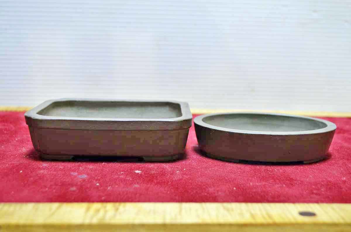 ★★お薦め 超人気　常滑 峰輝堂(ほうきどう)　上級 紫泥外縁隅入長方鉢 ＆ 紫泥切立楕円鉢 ２鉢セット　左右：11.5cm＆10.5cm　現品 