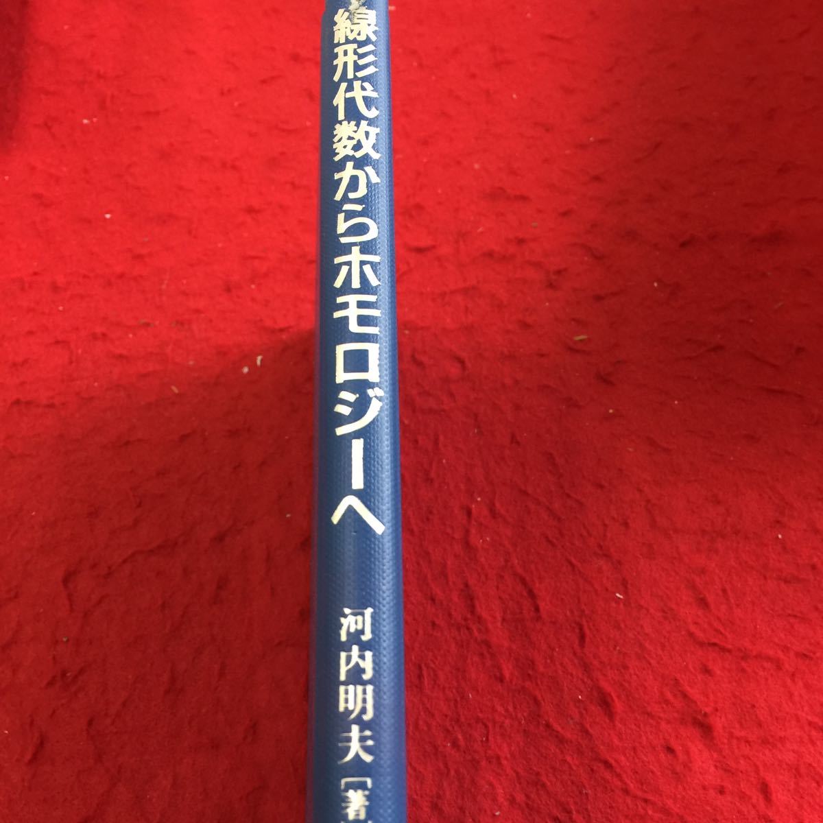 e1-015 線形代数からホモロジーへ 河内明夫著 2000年4月初版発行 株式