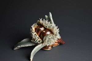 色鍋島のYahoo!オークション(旧ヤフオク!)の相場・価格を見る｜Yahoo