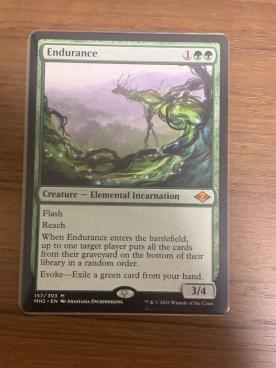 忍耐 4枚 MTG 英語 MTG】 忍耐 英 4枚まで 忍耐力」の英語・英語例文・英語表現 - Weblio