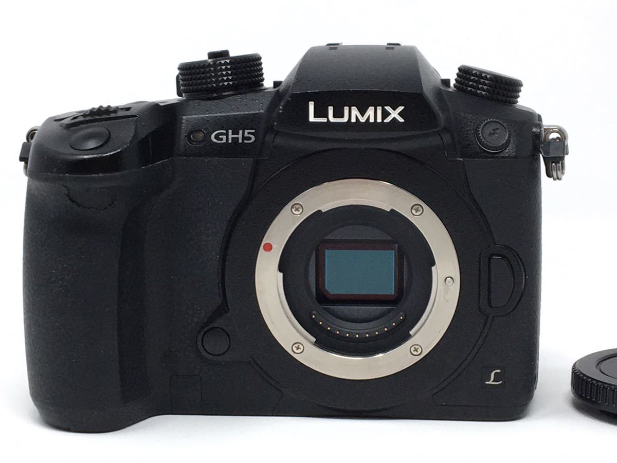 LUMIX DC-GH5 Panasonic GH5 | パナソニック ボディ 公式通販 