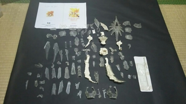 FSS 1/100 「パトラクシェ ミラージュ」