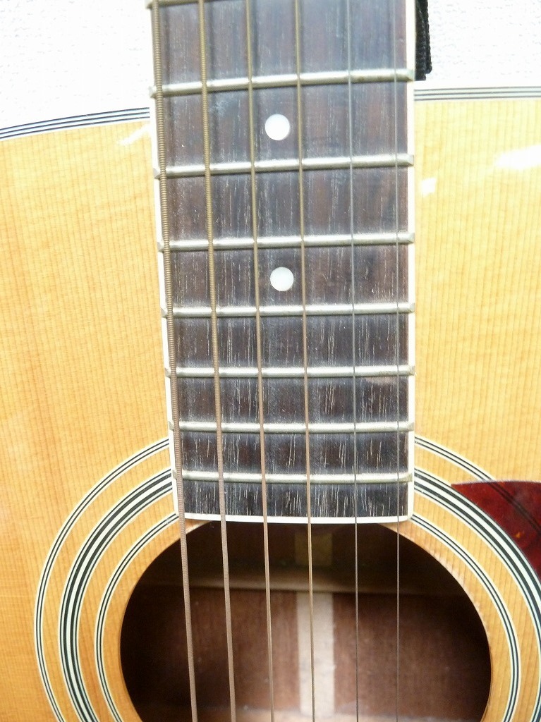 豊富な，大人気 ＠MORRIS モーリス アコースティックギター MD-251N