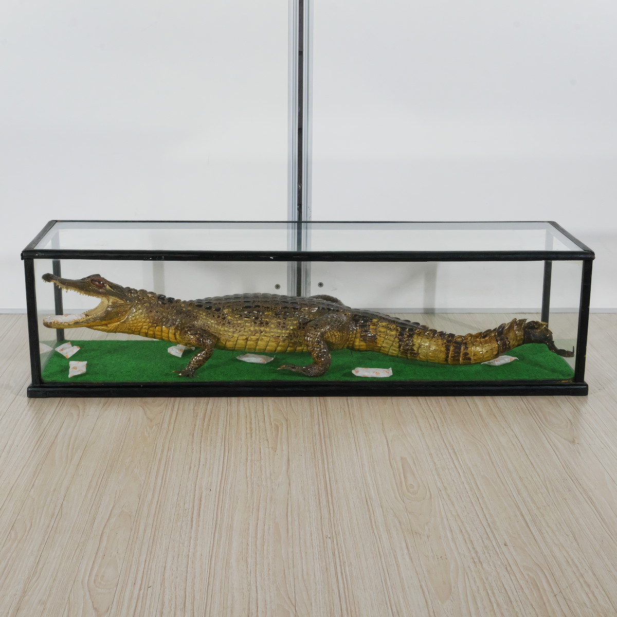 ハイ 選べるノベルティ付 間口24奥行21高30cm 印鑑ケースコレクション