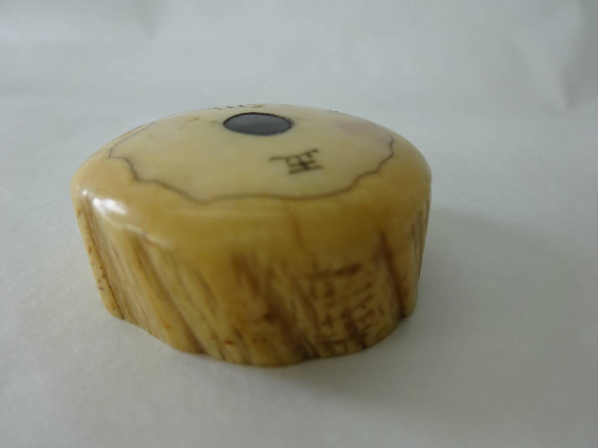 ウニコール　一角　鯨牙　鯨歯　新品　送料無料 QAZ8958☆ウニコール 一角鯨 イッカククジラ 角 歯牙 根付 44g