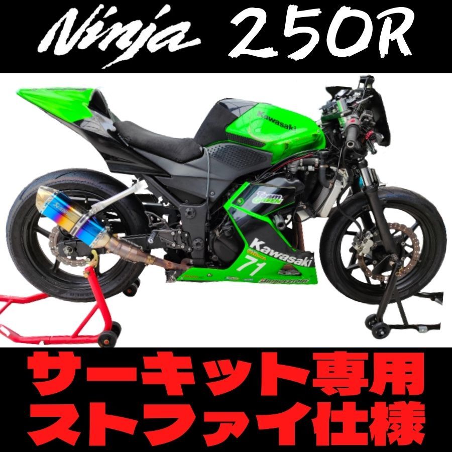 kawasaki Ninja250R カワサキ ニンジャ250R タケガワ製スリッパー