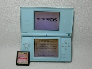 大人気新品 ニンテンドーdsさろ 携帯用ゲーム機本体 Www Marsupio It