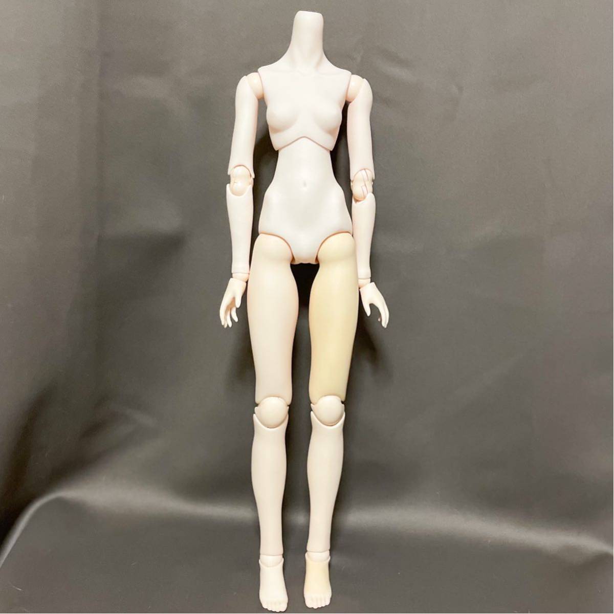 オビツ50 女の子ボディのみ (ミズキ) オビツドール 50cm 少女 オビツ 