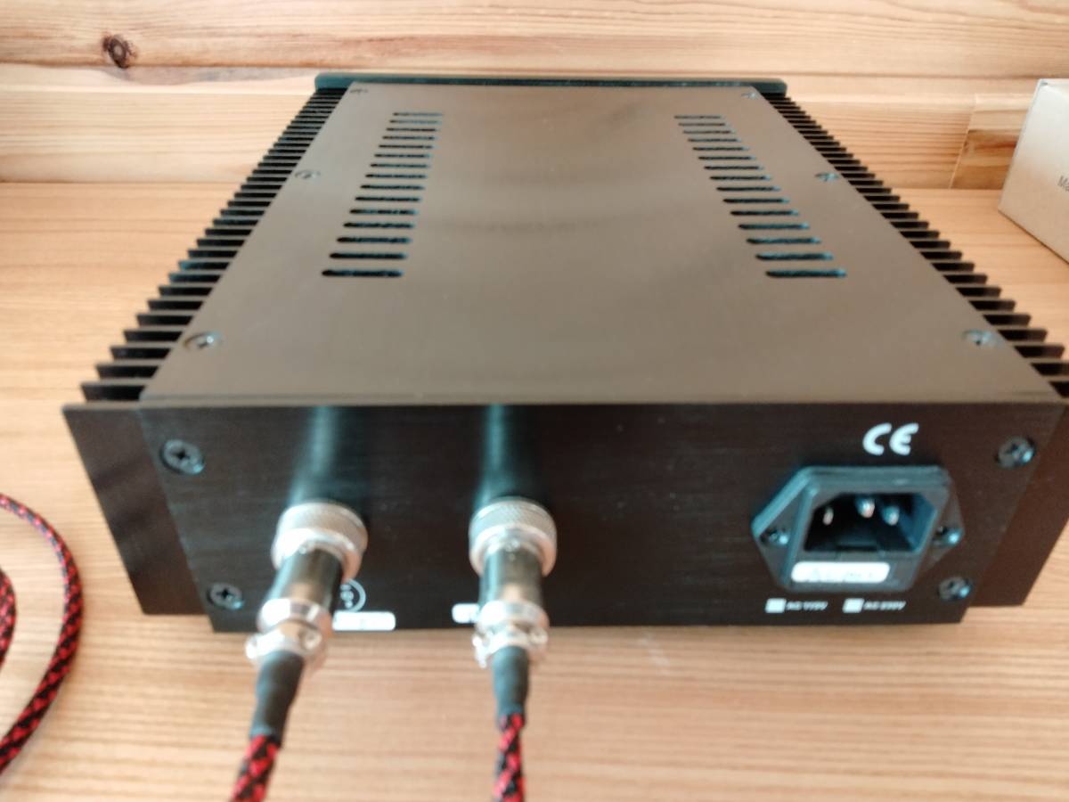FX-501J パワーアンプ FX-AUDIO モノラル FX-AUDIO- PBTL 1ch