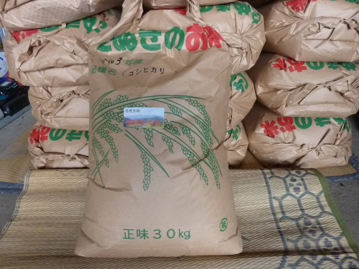 玄米20kg岩手県奥州市前沢産ひとめぼれ令和7年産 玄米20kg 令