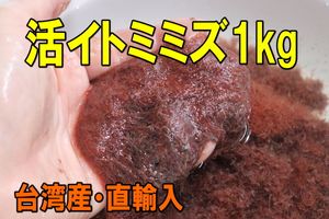 餌 ミミズのヤフオク の相場 価格を見る ヤフオク の餌 ミミズのオークション売買情報は81件が掲載されています