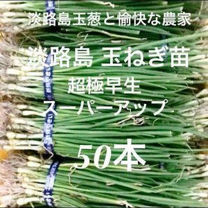 ねぎ ネギの平均価格は29 119円 ヤフオク 等のねぎ ネギのオークション売買情報は件が掲載されています