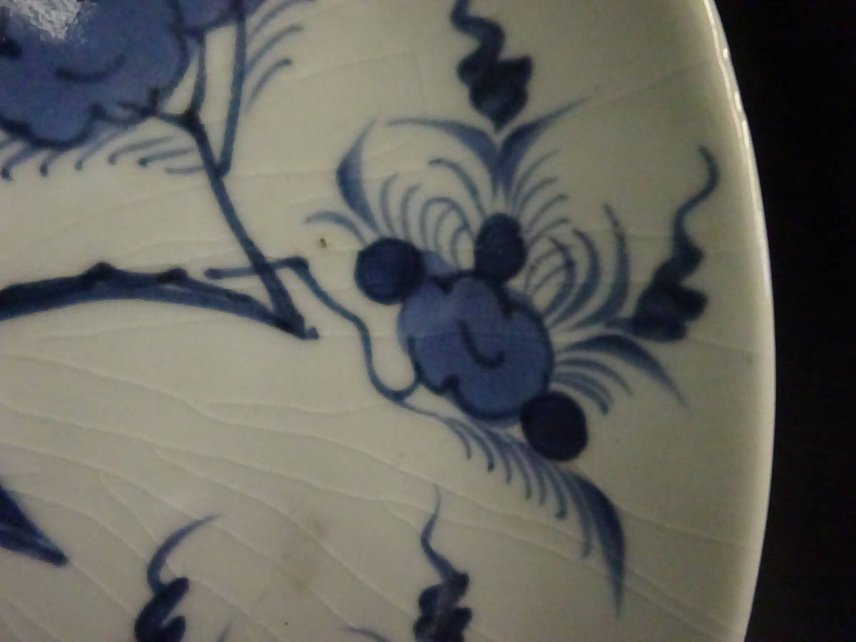 古伊万里 江戸後期 | 椿 鳳凰 孔雀 完品 染付芙蓉手花鳥図七寸皿 iichi
