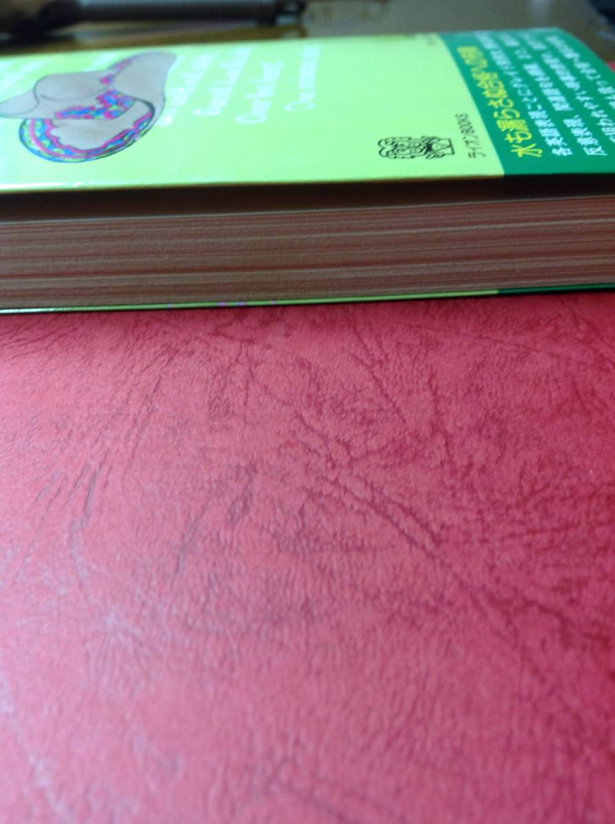 暗記する英語表現 守谷 孝 ライオン社 ライオンbooks 大学入試 英文法