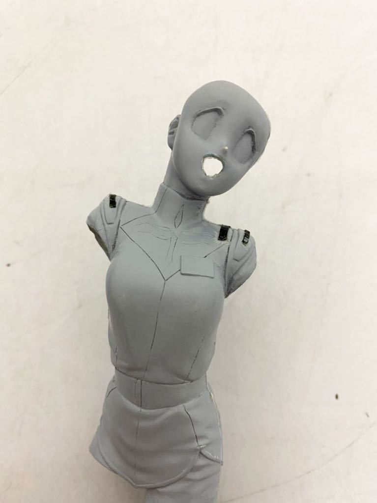1110y15) 未組立 GALL FORCE ガルフォース 1/8スケール CATTY キャティ 