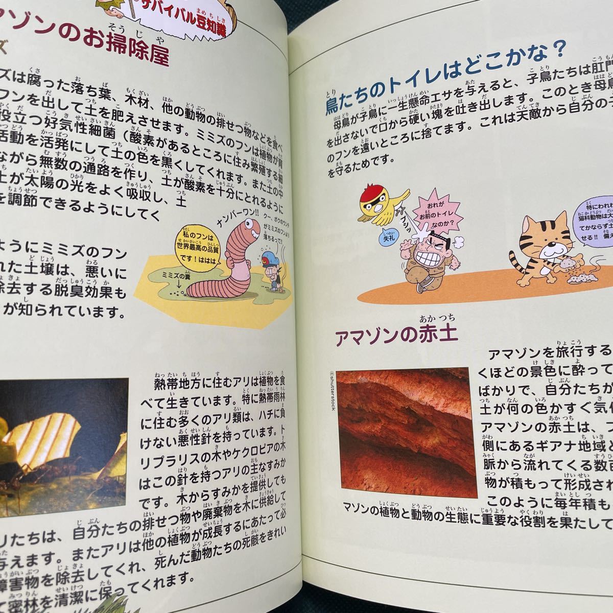 31 アマゾンのサバイバル 科学漫画サバイバルシリーズ かがくるbook アマゾン Book 本 児童書 勉強 学習 小学校 小学生 小学 学習漫画 売買されたオークション情報 Yahooの商品情報をアーカイブ公開 オークファン Aucfan Com