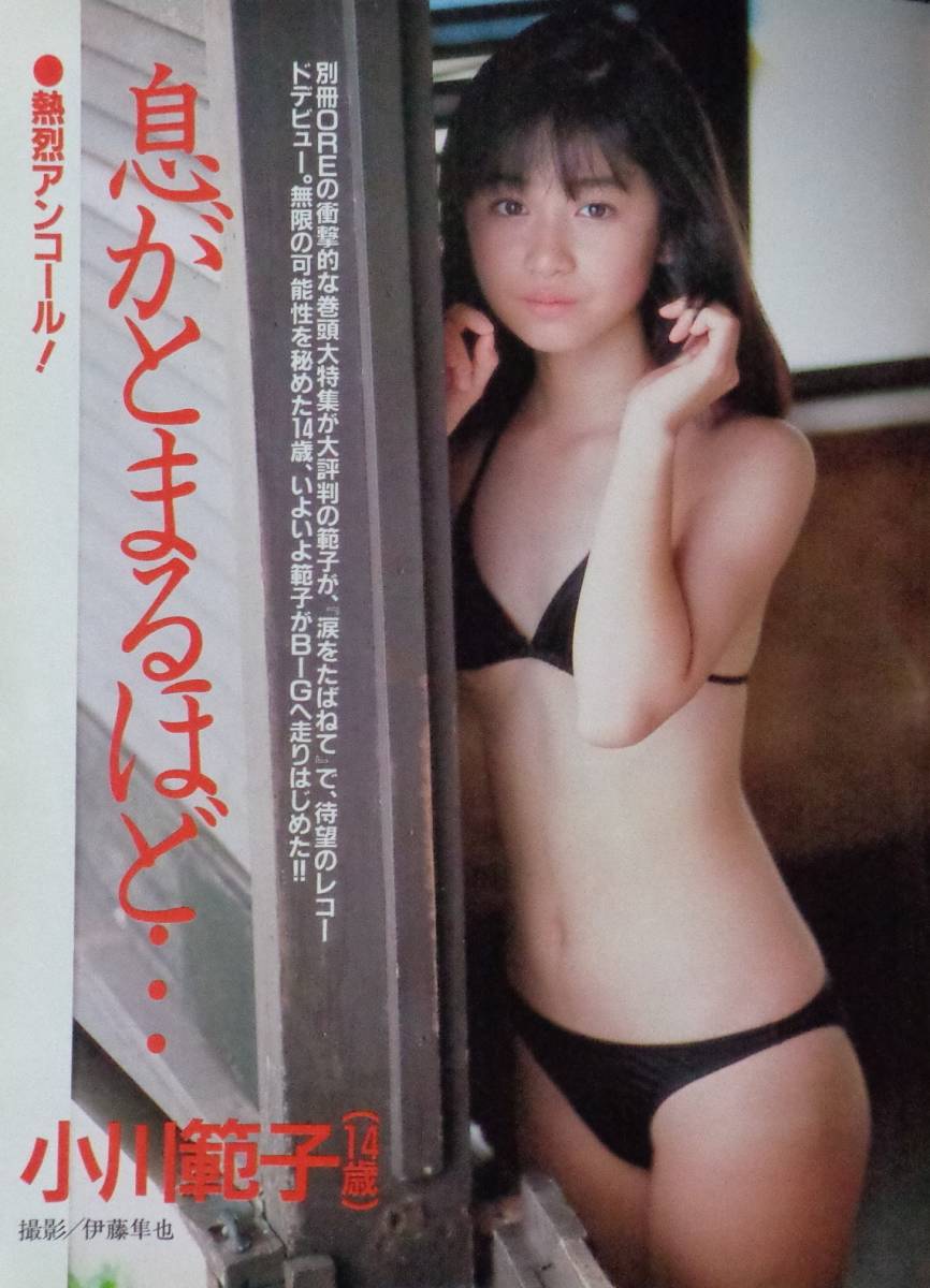 Ore オーレ 19年1月号 小沢なつき 水着ピンナップ 14p 小川範子 水着6p 付録カレンダーbook付き その他 売買されたオークション情報 Yahooの商品情報をアーカイブ公開 オークファン Aucfan Com