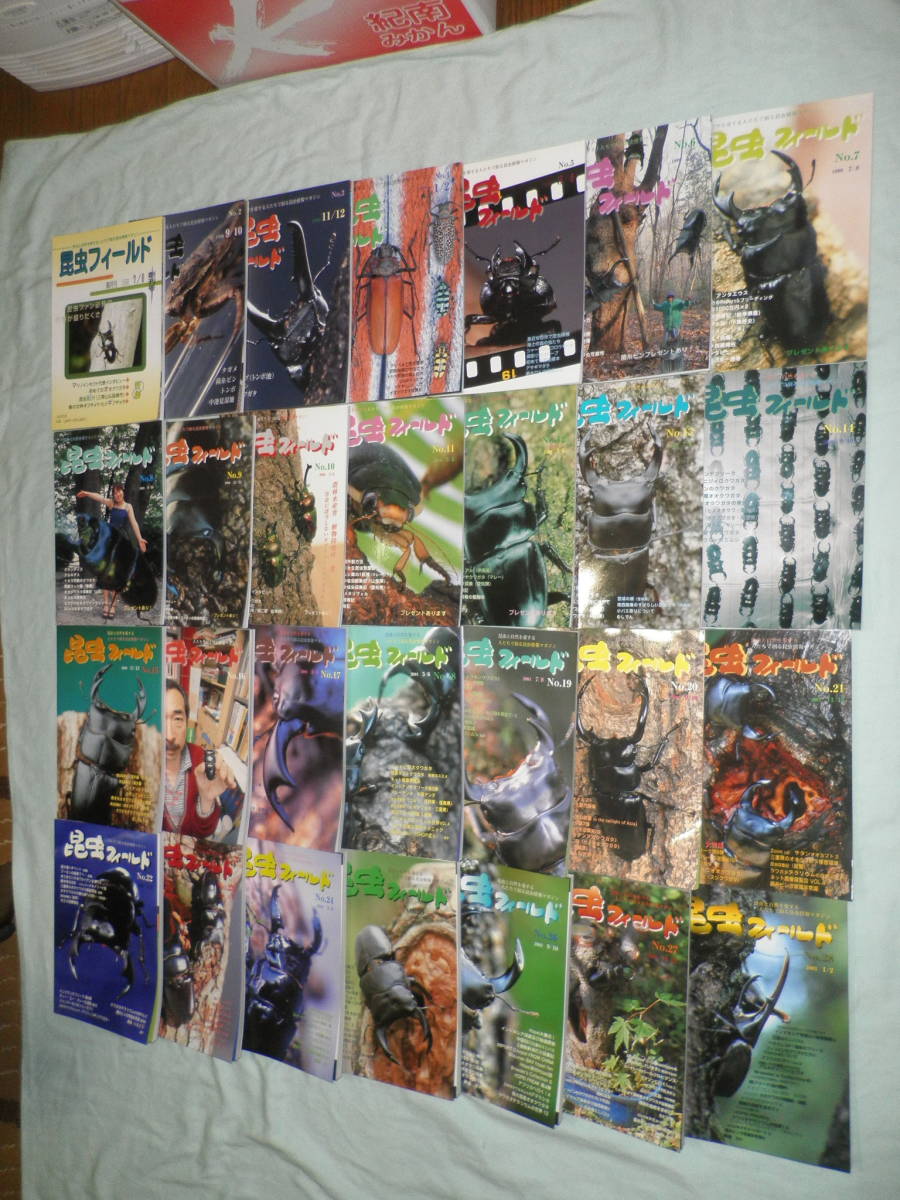 100%新品，大得価 65 昆虫フィールド No.1 創刊号 No.28 大量 まとめ セット くぬぎ出版 クワガタムシ オオクワガタ カブトムシ 昆虫 昆虫採集 標本(生物学)｜売買されたオークション情報、yahooの商品情報をアー 生物学