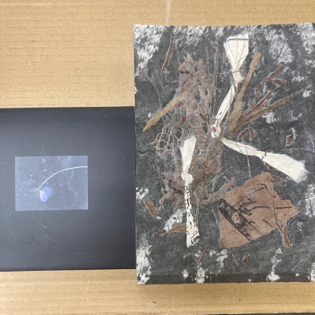  心眼銀河-SHINGANGINGA- 志人 CD + BOOK 降神 MSC なのるなもない 舐達麻 tha blue herb shing02 ZORN NORIKIYO(ラップ、ヒップホップ)｜売買されたオークション情報、yahooの商品情報をアーカイブ公開 - オーク ラップ、ヒップホップ
