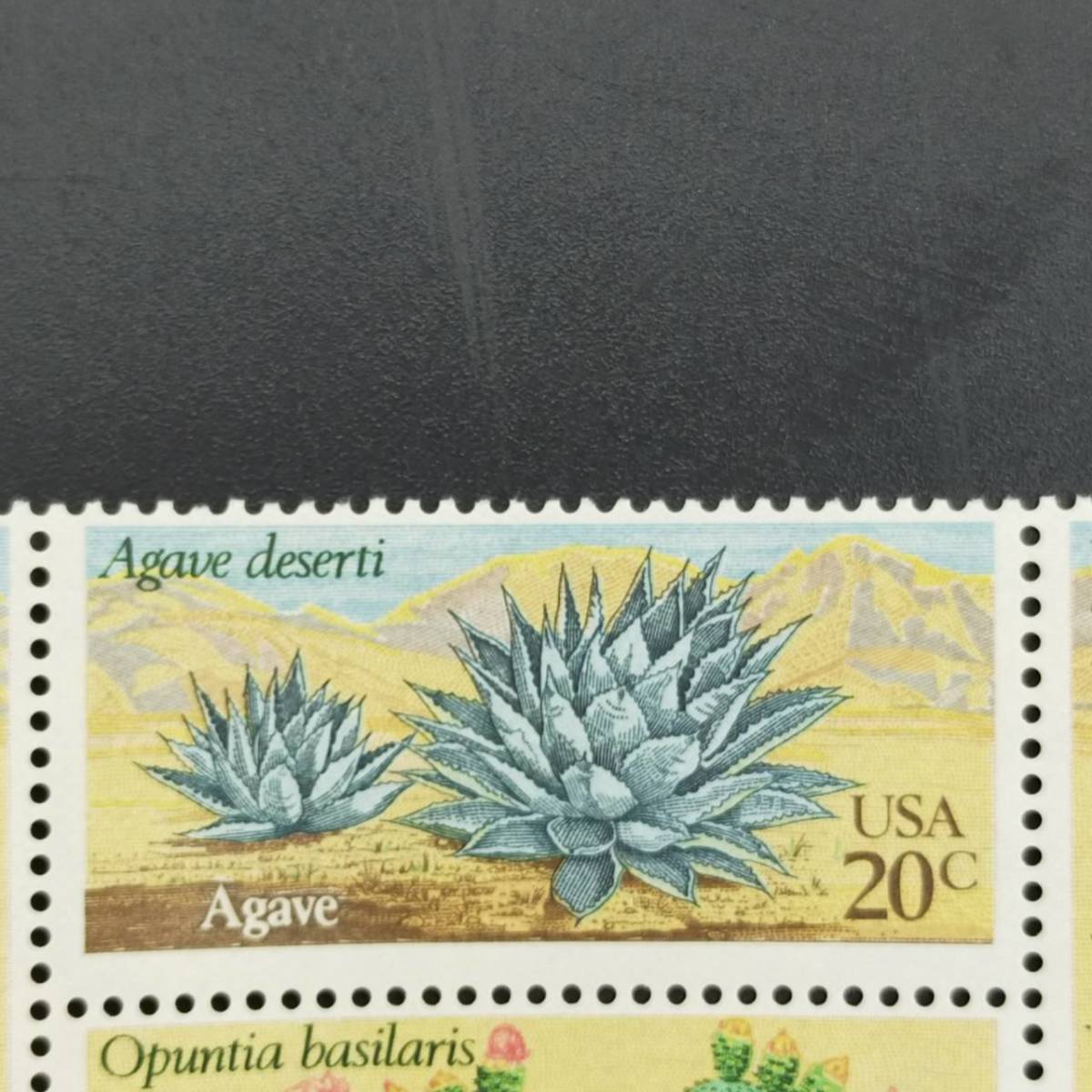海外切手アメリカ サボテンシリーズ 20セント