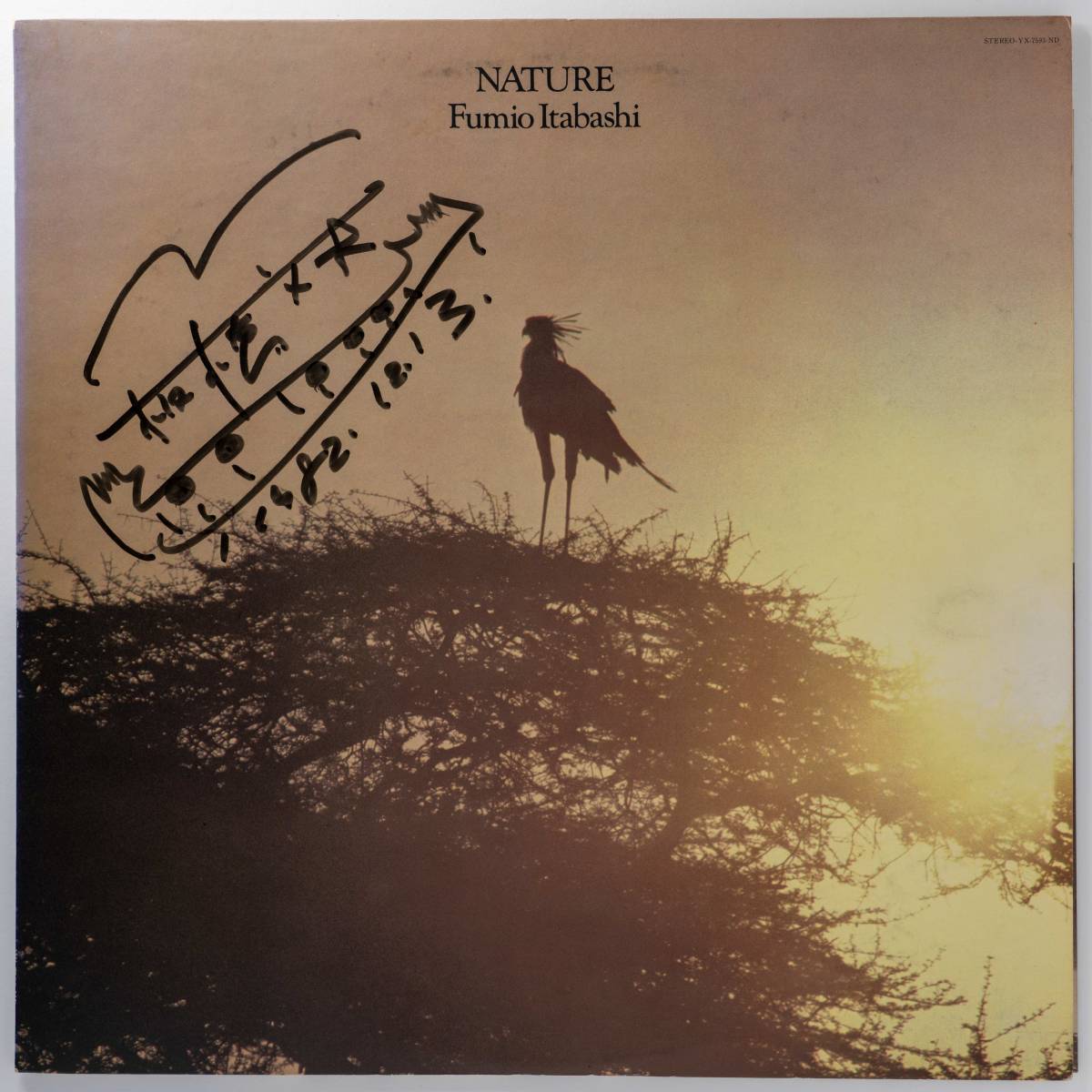 Nature Fumio Itabashi - – | Discogs by Vinyl : Better 和ジャズ CD
