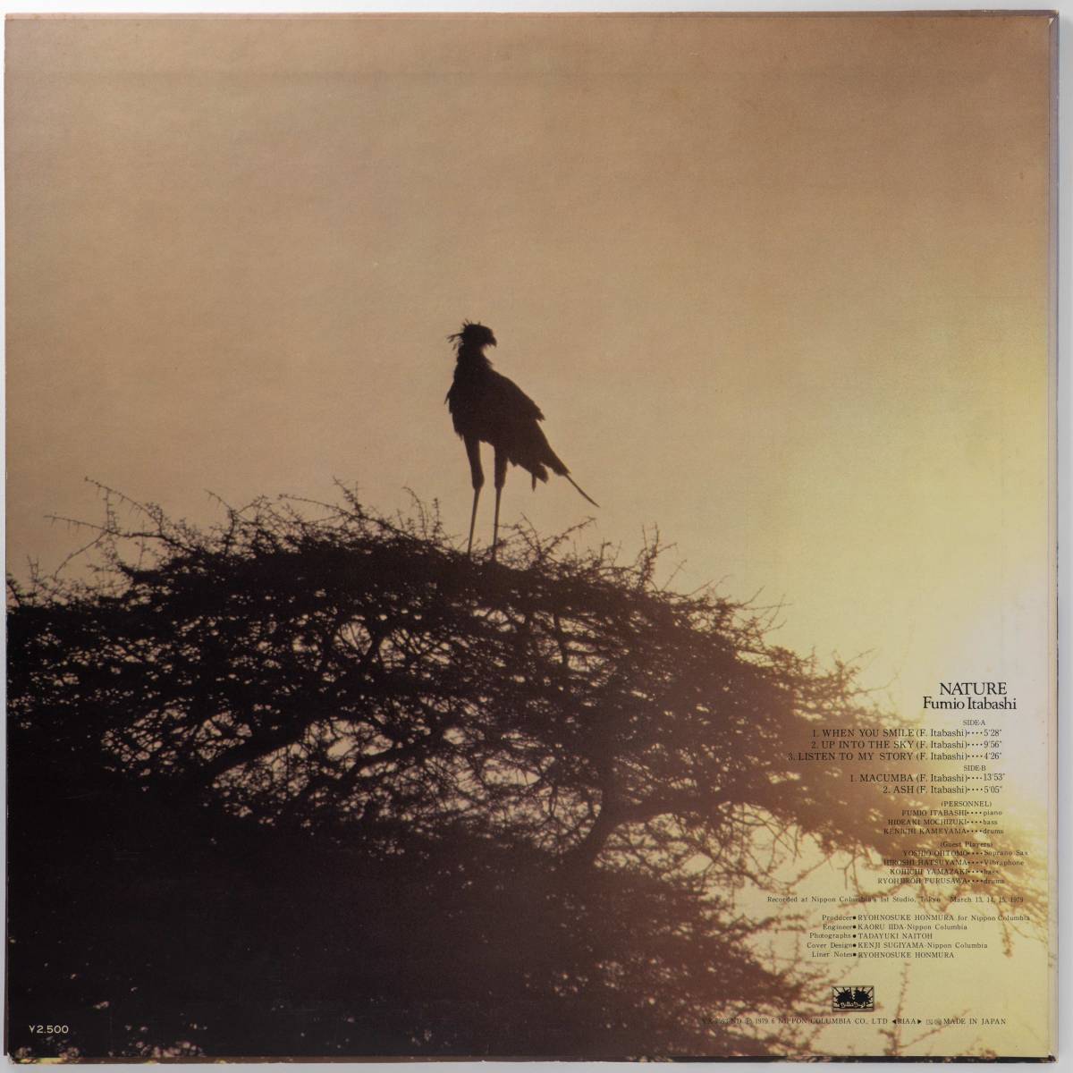 Nature Fumio Itabashi - – | Discogs by Vinyl : Better 和ジャズ CD