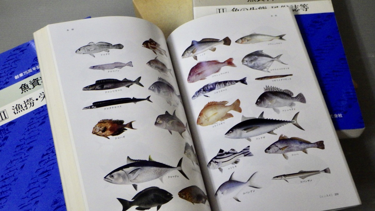 □まとめ売り！魚資料/魚類図鑑/魚貝の図鑑など水産・魚類関連の本 