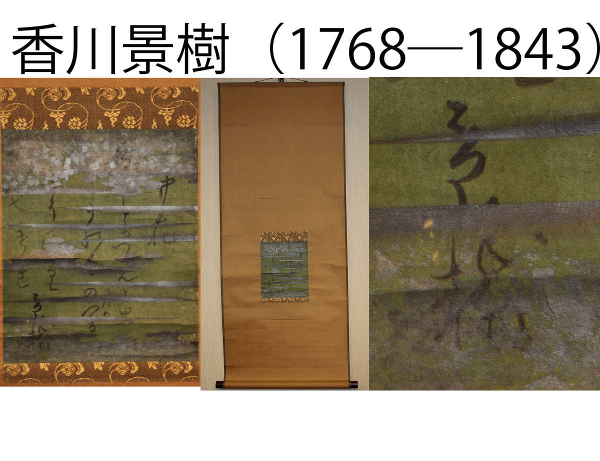 2202707819031