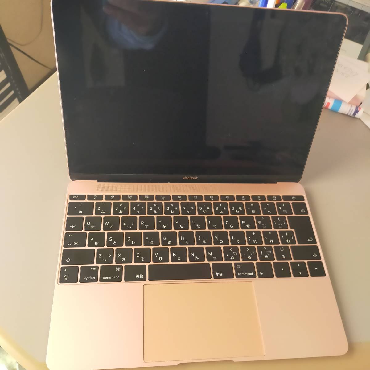 MacBook Early 2015 12inch 1.3G 8G メモリー 500G SSD ジャンク