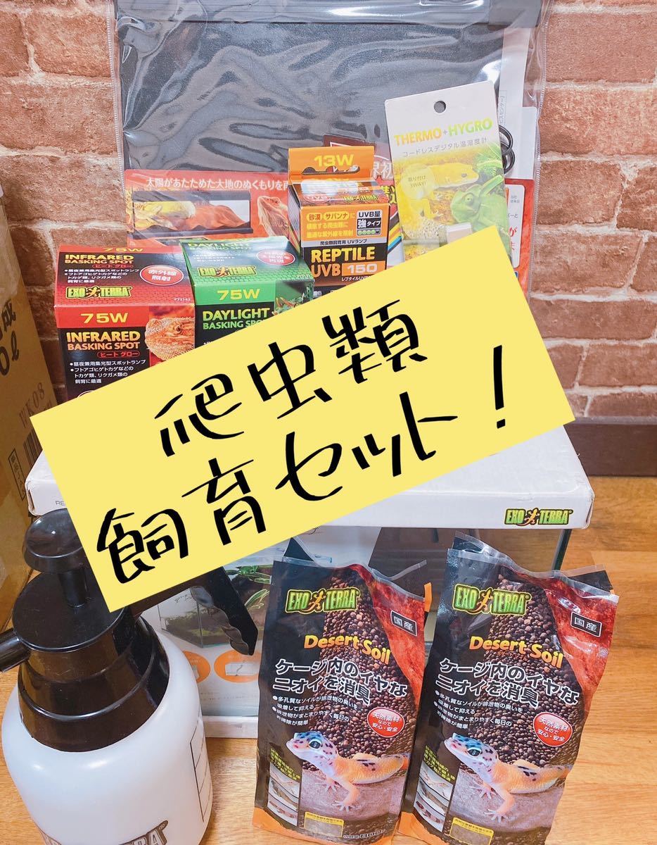 まとめて　爬虫類飼育セット　飼育セット　バスキングランプ　保温ランプ　水槽　キューブ水槽　霧吹き　床材