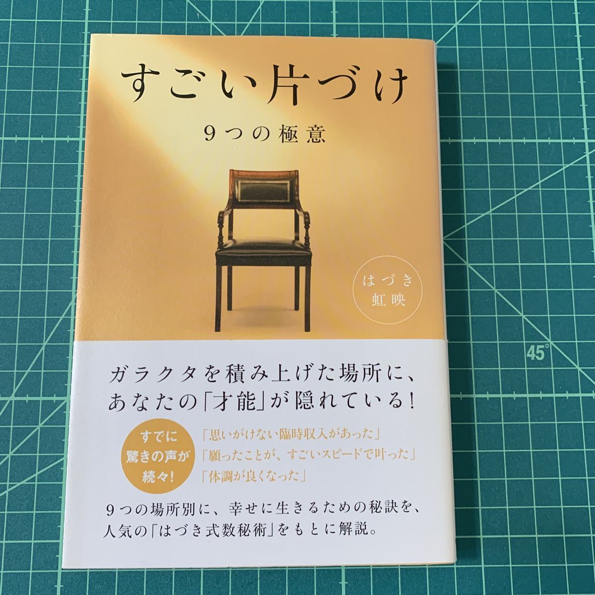 すごい片づけ 9つの極意』はづき虹映(河出書房新社) 送料無料(雑学 