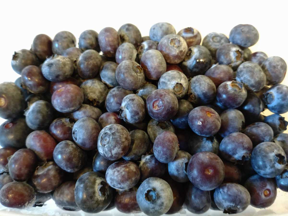 人気定番，定番人気 冷凍ブルーベリー 埼玉県川越市産 2kg 加工用 ジャムなどに(その他)｜売買されたオークション情報、yahooの商品情報をアーカイブ公開 - オークファン その他