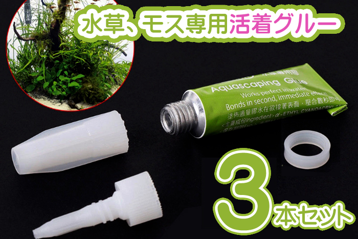 水草やモスの活着に 水草専用グルー 3本セット 接着剤 活着 ウィローモス ナナ ブセファランドラ ウィローモス 売買されたオークション情報 Yahooの商品情報をアーカイブ公開 オークファン Aucfan Com 水草やモスの活着に 水草専用グルー 3本セット 接着剤 活着 ウィローモス ナナ ブセファランドラ ウィローモス 売買されたオークション情報 Yahooの商品情報をアーカイブ公開 オークファン Aucfan Com