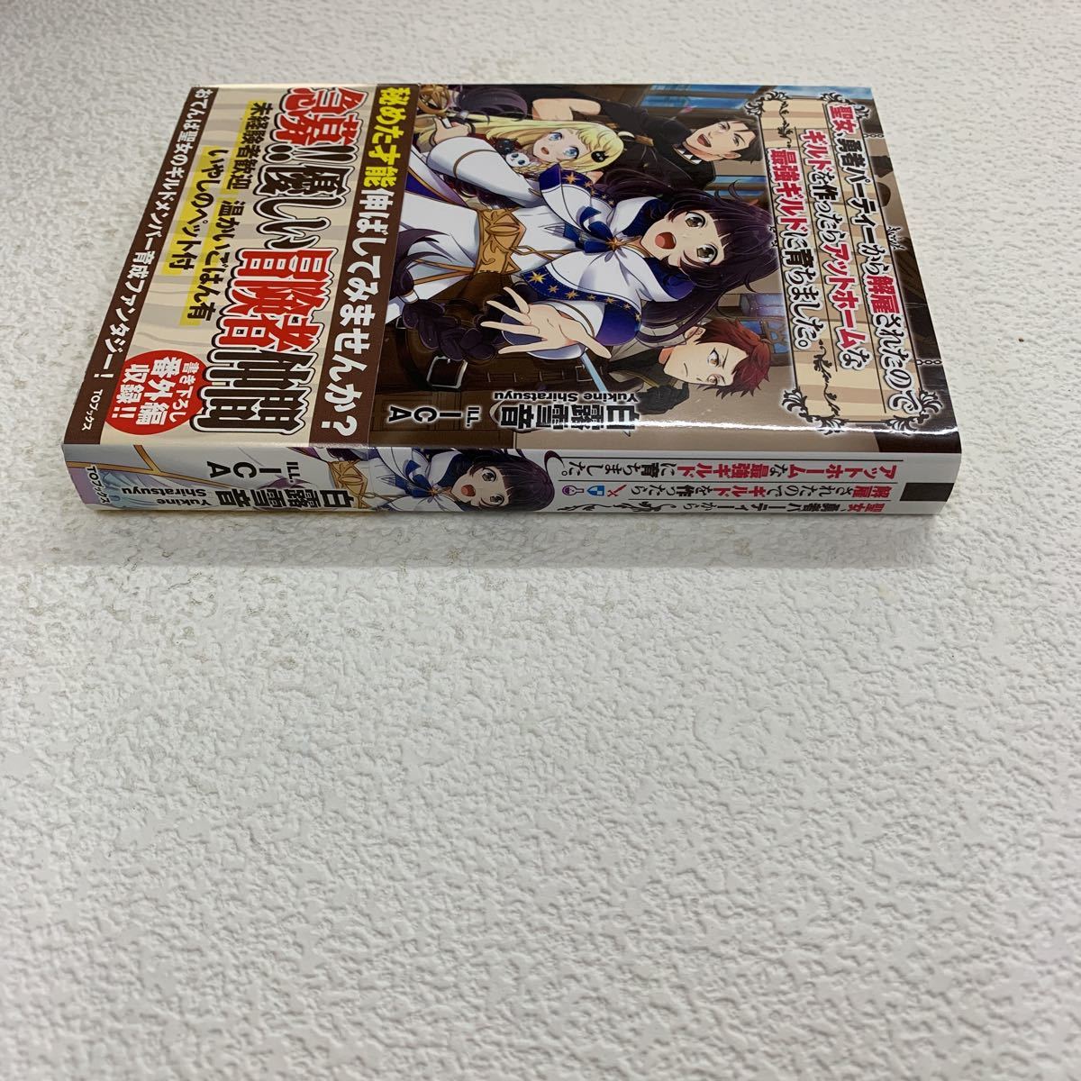 聖女 勇者パーティーから解雇されたの ギルドを作ったらアットホームな最強ギルドに育ちました 白露雪音 Toブックス ライトノベル一般 売買されたオークション情報 Yahooの商品情報をアーカイブ公開 オークファン Aucfan Com