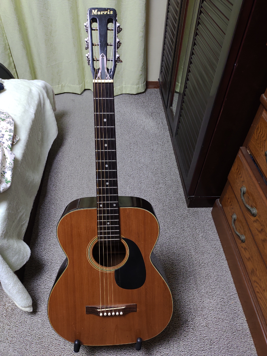 Morris | モーリス F-12 Acoustic Guitar - F12 MORRIS Japan 