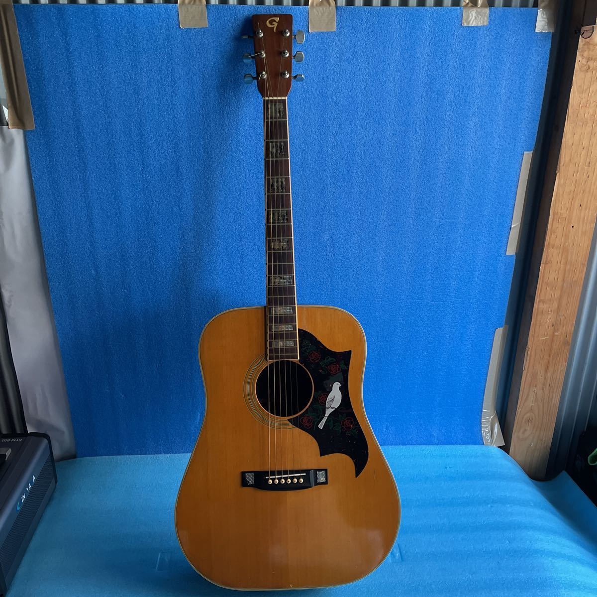 Venus Guitars Guitar Electric | — Squier - Revolution W-25 OD Faith VENUS w&frasl; Case Shop