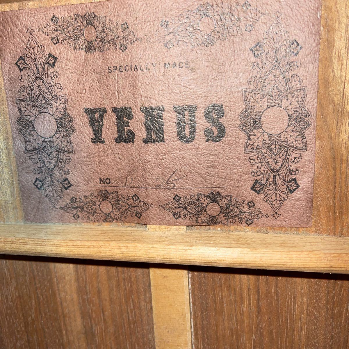 Venus Guitars Guitar Electric | — Squier - Revolution W-25 OD Faith VENUS w&frasl; Case Shop