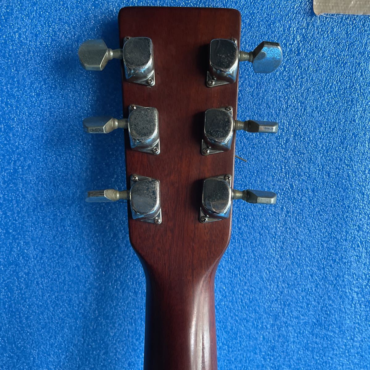 Venus Guitars Guitar Electric | — Squier - Revolution W-25 OD Faith VENUS w&frasl; Case Shop