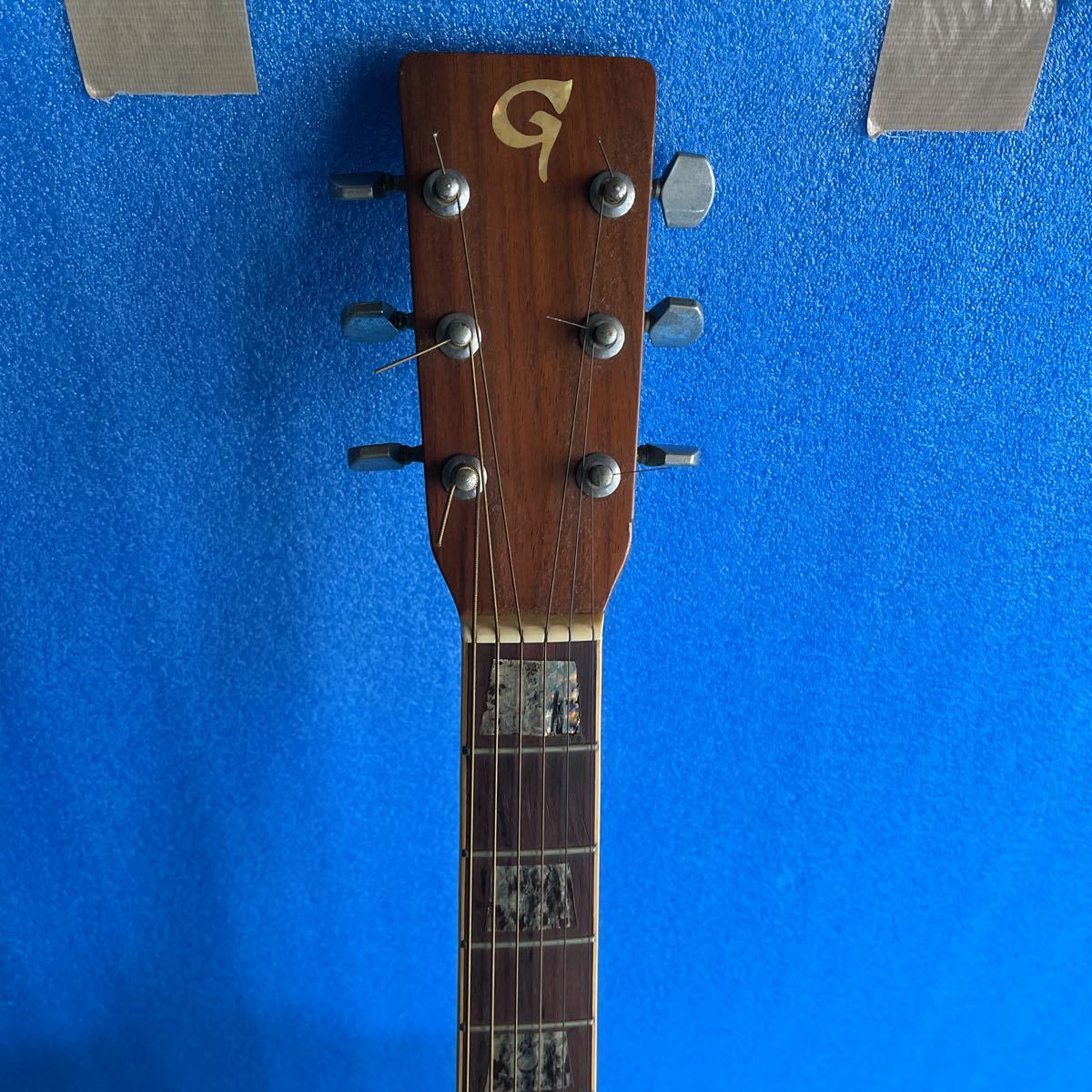 Venus Guitars Guitar Electric | — Squier - Revolution W-25 OD Faith VENUS w&frasl; Case Shop