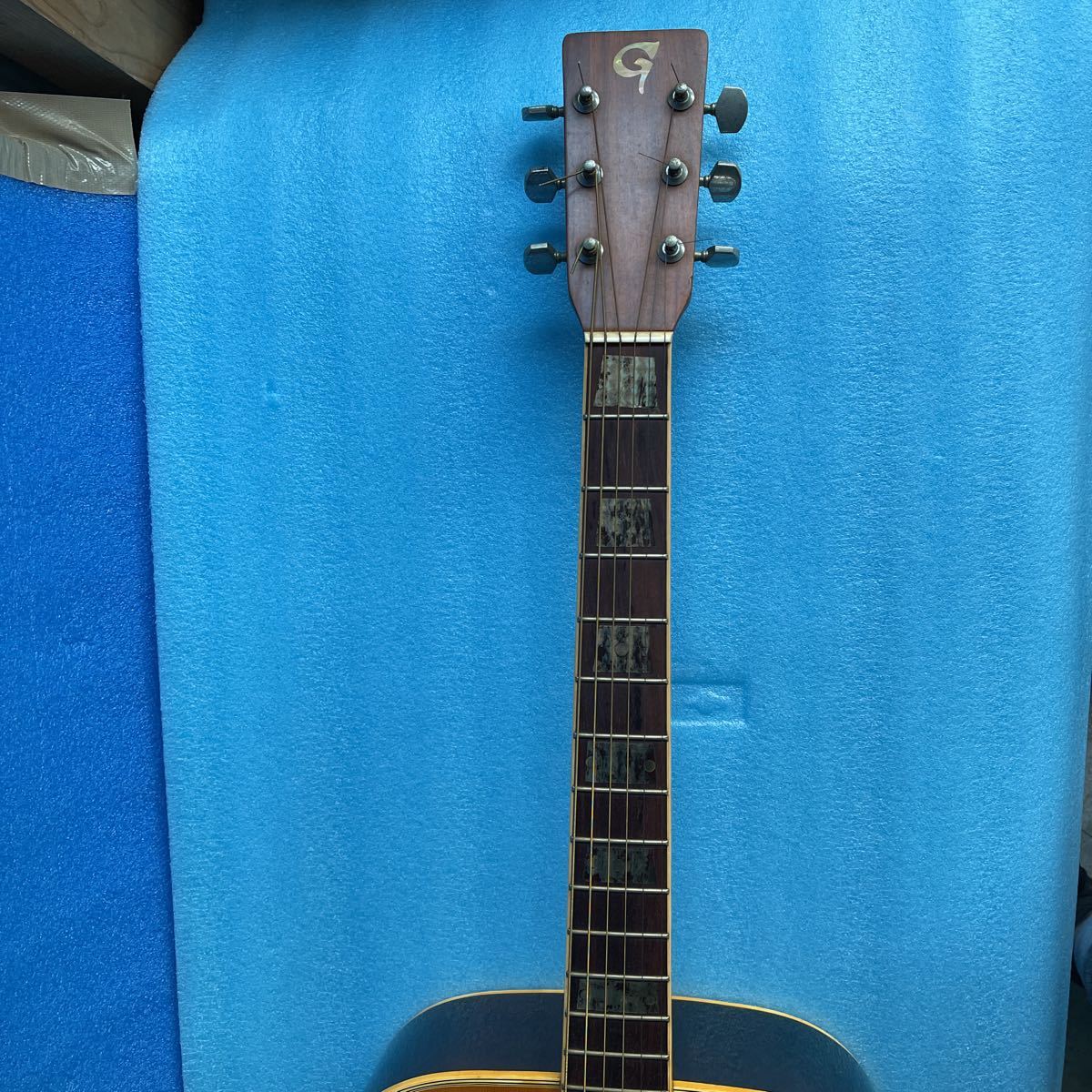 Venus Guitars Guitar Electric | — Squier - Revolution W-25 OD Faith VENUS w&frasl; Case Shop
