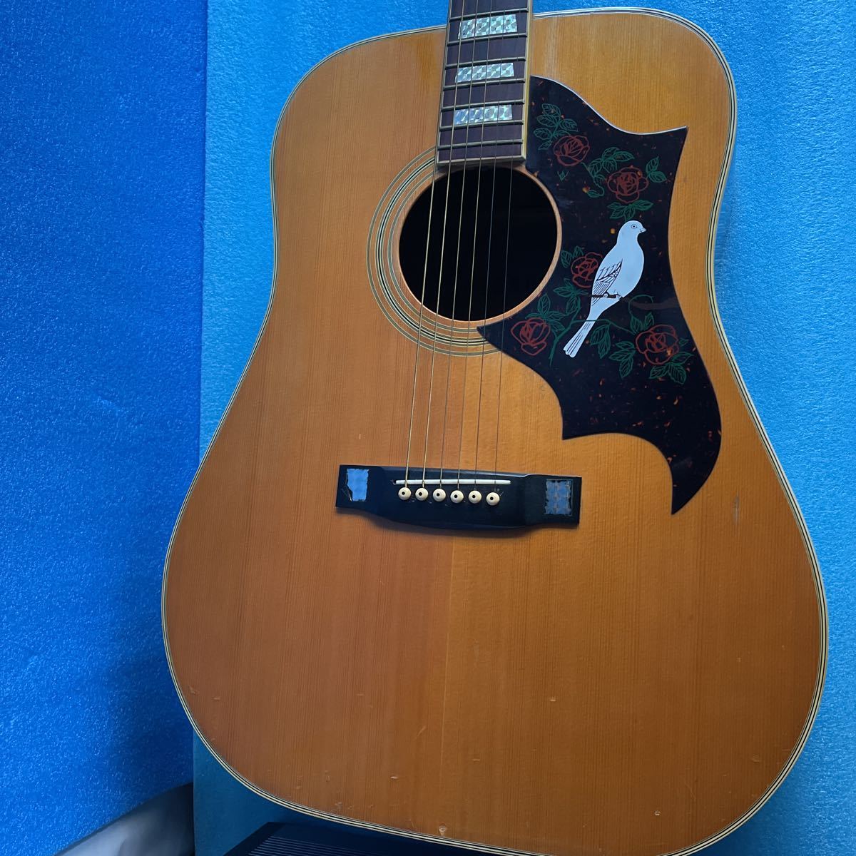 Venus Guitars Guitar Electric | — Squier - Revolution W-25 OD Faith VENUS w&frasl; Case Shop