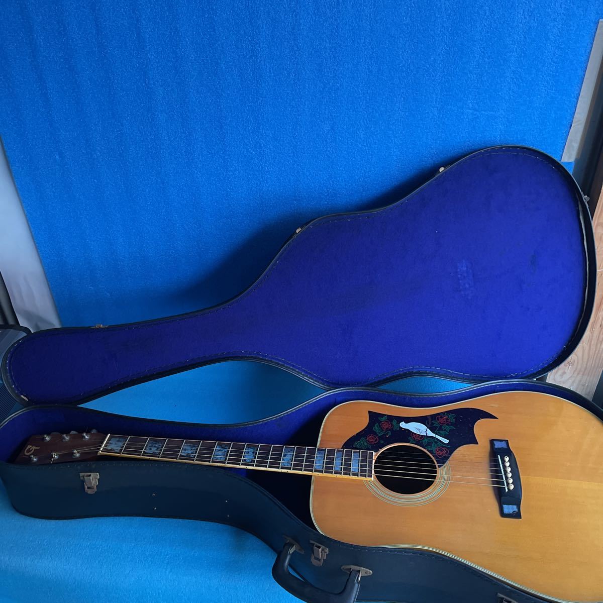 Venus Guitars Guitar Electric | — Squier - Revolution W-25 OD Faith VENUS w&frasl; Case Shop