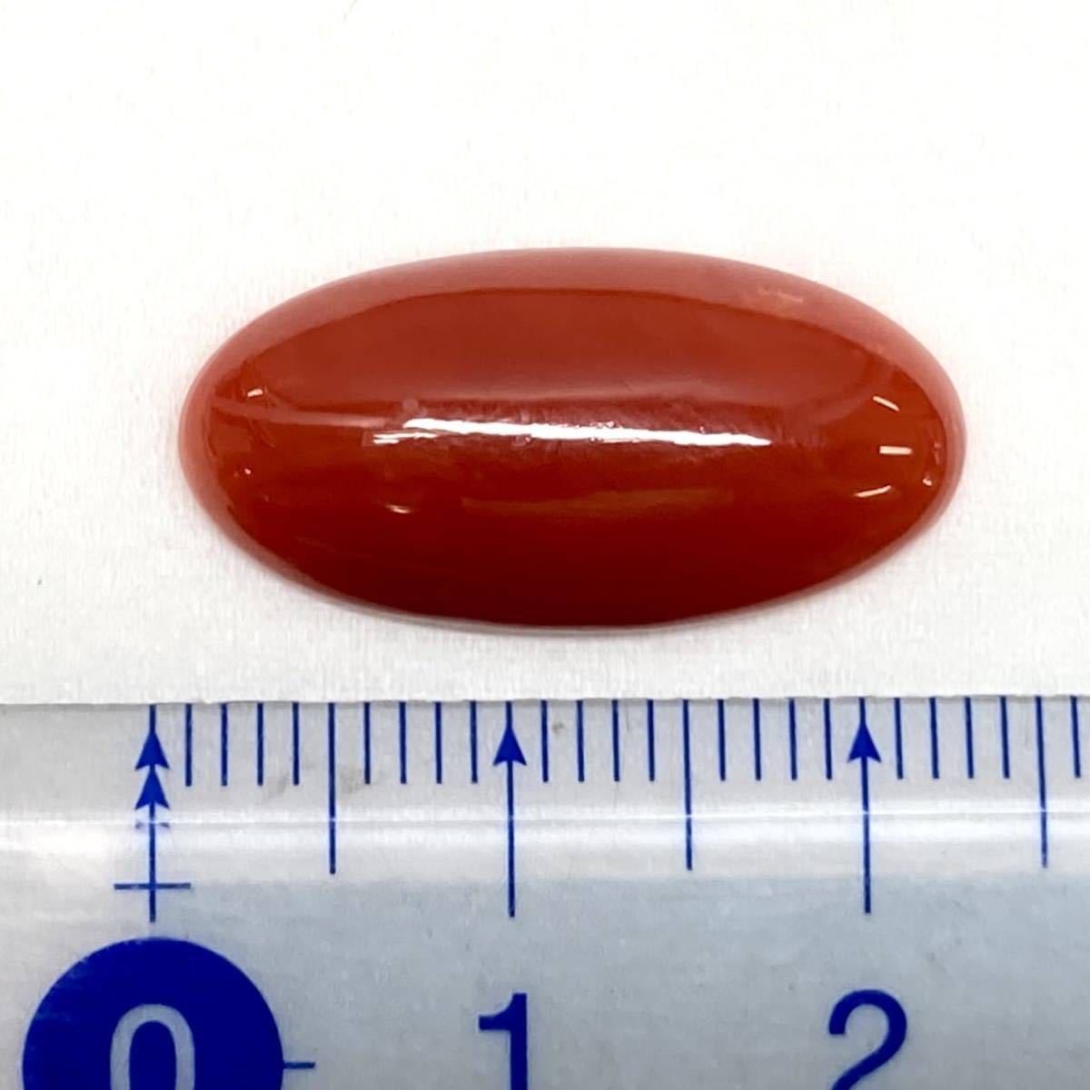天然本珊瑚 9.281ct 1.85g 22.2×11.1mm ソーティング付 ルース 裸石