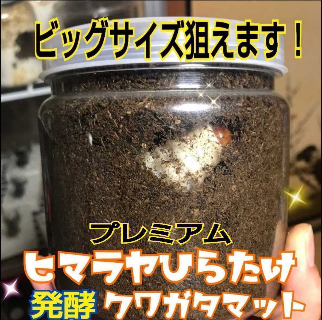 送料無料20L☆進化した！プレミアム3次発酵クワガタマット☆栄養添加剤、共生バクテリア3倍！アンテ・ミヤマ・ヒラタ・虹色・ノコギリに! 送料無料20L☆進化した！プレミアム3次発酵クワガタマット☆栄養 昆虫用品 特選！プレミアム3次発酵クワガタマット20L☆特殊 進化した！特選プレミアム3次発酵ヘラクレスマット20L微粒子 進化した！特選プレミアム3次発酵クワガタマット☆栄養添加剤 ミヤマクワガタに抜群！極上！プレミアム3次発酵